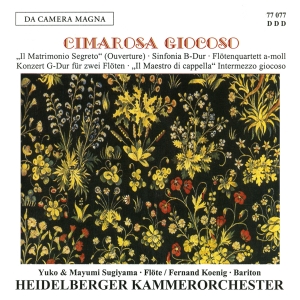 Cimarosa - Sinfonia/Concerto For 2 Flutes/Maes i gruppen VI TIPSAR / Julklappstips CD hos Bengans Skivbutik AB (5574881)