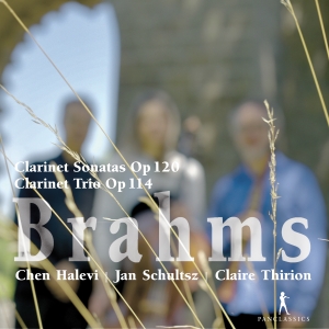 Brahms - Clarinet Sonatas Op. 120, Clarinet i gruppen VI TIPSAR / Julklappstips CD hos Bengans Skivbutik AB (5575021)