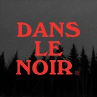 Nolin Safia - Dans Le Noir i gruppen CD / Svensk Folkmusik hos Bengans Skivbutik AB (5576296)