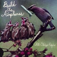 Build Us Airplanes - All Things Expire i gruppen VINYL / Kommande / Pop-Rock hos Bengans Skivbutik AB (5576415)