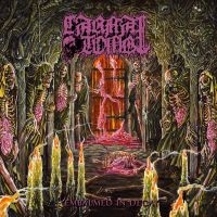 Carnal Tomb - Embalmed In Decay i gruppen CD / Kommande / Hårdrock hos Bengans Skivbutik AB (5576721)