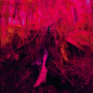 Rebel Wizard - Magickal Mystical Indifference i gruppen ÖVRIGT / Övrigt / aub hos Bengans Skivbutik AB (5577168)