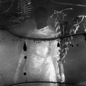 Vile Creature - Preservation Rituals (2015 - 2018) i gruppen ÖVRIGT / Övrigt / aub hos Bengans Skivbutik AB (5577169)