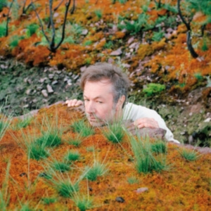 Fabiola - The Mushroom Type i gruppen CD / Pop-Rock hos Bengans Skivbutik AB (5577489)