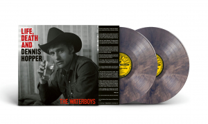 The Waterboys - Life, Death & Dennis Hopper (Psychedelic Waves Colored 2Lp) i gruppen VINYL / Kommande / Pop-Rock hos Bengans Skivbutik AB (5578185)