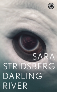 Sara Stridsberg - Darling River i gruppen ÖVRIGT / Pocketböcker hos Bengans Skivbutik AB (5578231)