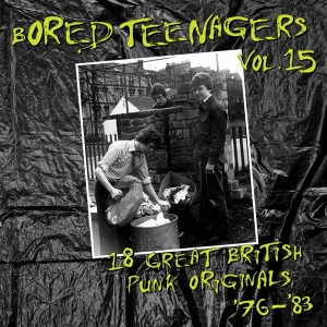 Various Artist - Bored Teenagers, Vol. 15 i gruppen VI TIPSAR / Startsida - Vinyl Nyheter & Kommande hos Bengans Skivbutik AB (5578325)