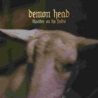 Demon Head - Thunder On The Fields Lp Gold i gruppen VINYL / Hårdrock hos Bengans Skivbutik AB (5578905)