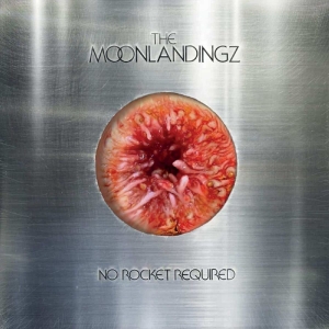 The Moonlandingz - No Rocket Required i gruppen VINYL / Pop-Rock hos Bengans Skivbutik AB (5588293)