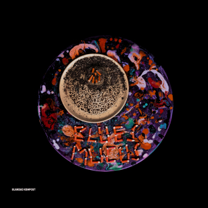 Blues Mucus - Blandad Kompost i gruppen VINYL / Blues hos Bengans Skivbutik AB (5588407)