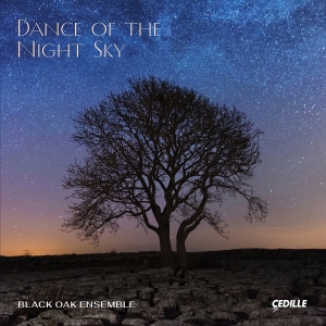 Black Oak Ensemble - Dance Of The Night Sky i gruppen CD / Nyheter hos Bengans Skivbutik AB (5588998)
