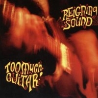 Reigning Sound - Too Much Guitar i gruppen VI TIPSAR / Julklappstips CD hos Bengans Skivbutik AB (558943)