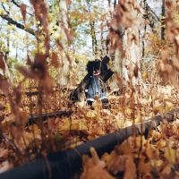 Billy Woods - Golliwog (Ltd Cd) i gruppen CD / Hip Hop-Rap hos Bengans Skivbutik AB (5589556)