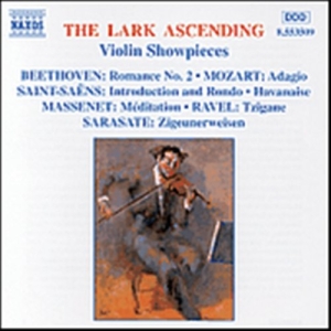 Various - The Lark Ascending i gruppen Externt_Lager / Naxoslager hos Bengans Skivbutik AB (560134)