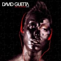 DAVID GUETTA - JUST A LITTLE MORE LOVE i gruppen VI TIPSAR / Julklappstips CD hos Bengans Skivbutik AB (568038)