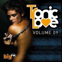 Blandade Artister - Big Fm Tronic Love 9 i gruppen CD / Dance-Techno hos Bengans Skivbutik AB (569189)