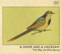 Hawk And A Hacksaw A - The Way The Wind Blows i gruppen CD / Pop-Rock hos Bengans Skivbutik AB (575697)