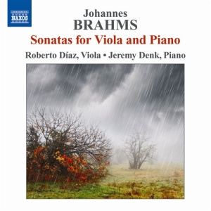 Brahms - Viola Sonatas i gruppen VI TIPSAR / Julklappstips CD hos Bengans Skivbutik AB (594408)