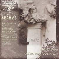 Brahms Johannes - Piano Quartet No 1 i gruppen VI TIPSAR / Julklappstips CD hos Bengans Skivbutik AB (599272)