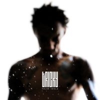 Tricky - False Idols i gruppen CD / Pop-Rock hos Bengans Skivbutik AB (602367)