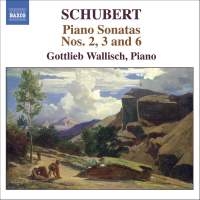 Schubert - Piano Sonatas Nos. 2, 3 And 5 i gruppen VI TIPSAR / Julklappstips CD hos Bengans Skivbutik AB (608519)