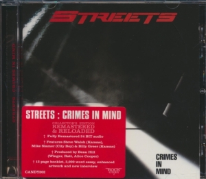 Streets - Crimes In Mind i gruppen CD / Pop-Rock hos Bengans Skivbutik AB (611367)
