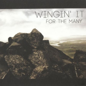 Wingin' It - For The Many i gruppen CD / Pop hos Bengans Skivbutik AB (611974)