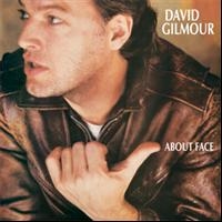 DAVID GILMOUR - ABOUT FACE i gruppen VI TIPSAR / Julklappstips CD hos Bengans Skivbutik AB (618028)