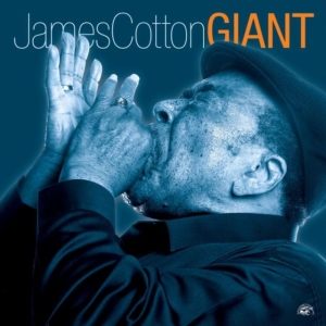 Cotton James - Giant i gruppen ÖVRIGT / Övrigt / aub hos Bengans Skivbutik AB (620057)