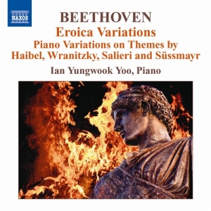 Beethoven - Piano Variations i gruppen VI TIPSAR / Julklappstips CD hos Bengans Skivbutik AB (620656)