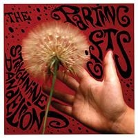 Parting Gifts - Strychnine Dandelions i gruppen CD / Pop-Rock hos Bengans Skivbutik AB (622507)