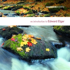 Elgar - An Introduction To i gruppen VI TIPSAR / Julklappstips CD hos Bengans Skivbutik AB (624482)