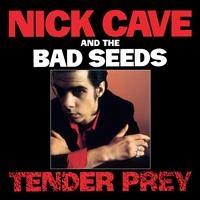 Nick Cave & The Bad Seeds - Tender Prey i gruppen CD / Pop-Rock hos Bengans Skivbutik AB (625934)