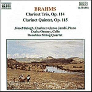 Brahms Johannes - Clarinett Trio & Quintet i gruppen VI TIPSAR / Julklappstips CD hos Bengans Skivbutik AB (628929)