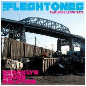 Fleshtones - Brooklyn Sound Solution i gruppen VI TIPSAR / Klassiska lablar / YepRoc / CD hos Bengans Skivbutik AB (641088)
