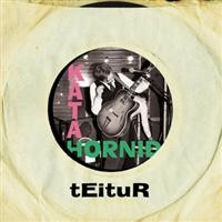 Teitur - Kata Hornid i gruppen CD / Dansk Musik,Elektroniskt,World Music hos Bengans Skivbutik AB (647147)