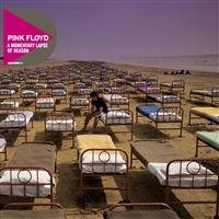 PINK FLOYD - A MOMENTARY LAPSE OF REASON i gruppen VI TIPSAR / Julklappstips CD hos Bengans Skivbutik AB (657070)