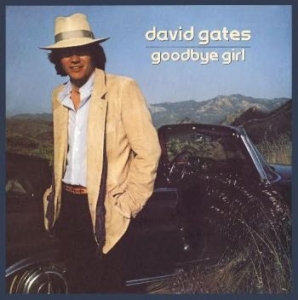 Gates David - Goodbye Girl i gruppen CD / Pop-Rock hos Bengans Skivbutik AB (667145)