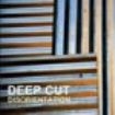 Deep Cut - Disorientation i gruppen CD / Pop-Rock hos Bengans Skivbutik AB (671508)