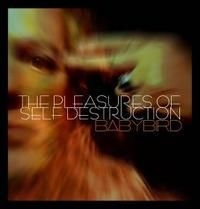 Babybird - Pleasure Of Self Destruction i gruppen CD / Pop-Rock hos Bengans Skivbutik AB (671576)