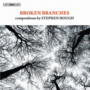 Stephen Hough - Broken Branches i gruppen VI TIPSAR / Julklappstips CD hos Bengans Skivbutik AB (691656)