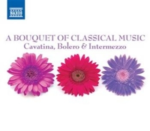 Blandade Artister - A Bouquet Of Classical Music i gruppen CD / Övrigt hos Bengans Skivbutik AB (695275)