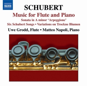 Schubert - Flute And Piano Music i gruppen VI TIPSAR / Julklappstips CD hos Bengans Skivbutik AB (696092)