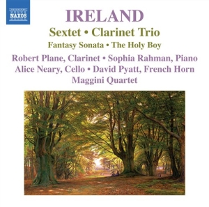 Ireland - Sextet i gruppen Externt_Lager / Naxoslager hos Bengans Skivbutik AB (698280)