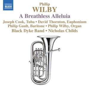 Wilby - Various Works i gruppen Externt_Lager / Naxoslager hos Bengans Skivbutik AB (698293)