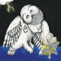 Songs: Ohia - Magnolia Electric Co. (Deluxe Ed.) i gruppen VINYL / Country,Pop-Rock hos Bengans Skivbutik AB (780812)