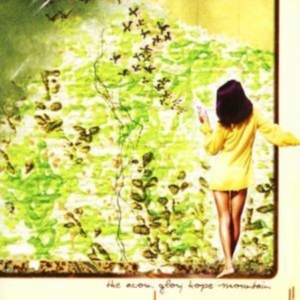 Acorn - Hope Glory Mountain i gruppen CD / Pop-Rock hos Bengans Skivbutik AB (928507)