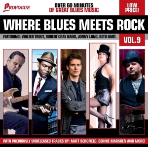 Various - Where Blues Meets Rock 9 i gruppen ÖVRIGT / Övrigt / aub hos Bengans Skivbutik AB (950927)