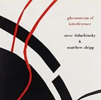 Dalachinsky Steve & Matthew Shipp - Phenomena Of Interference i gruppen CD / Jazz hos Bengans Skivbutik AB (983329)