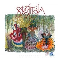 Synaesthesia - Synaesthesia i gruppen CD / Pop-Rock hos Bengans Skivbutik AB (983530)